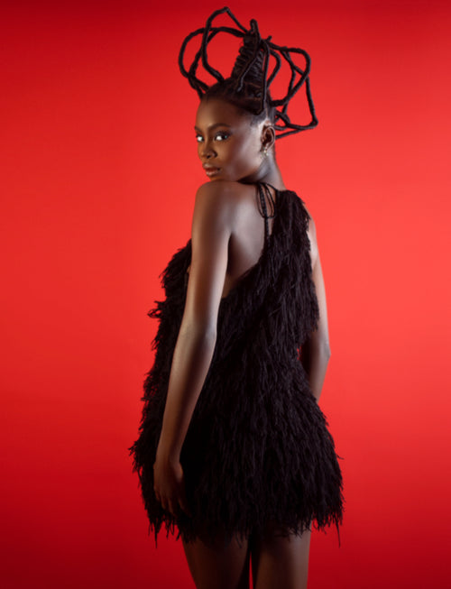 The EBOGBAISOMI Dress