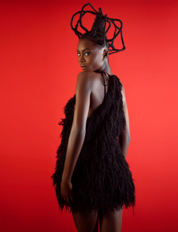 The EBOGBAISOMI Dress
